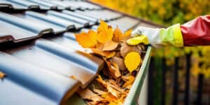 A person wearing a yellow glove is removing a pile of yellow and brown leaves from a house gutter. The roof tiles are dark, and the background shows trees with autumn foliage. For expert gutter services in Buchanan County, ensure your home stays debris-free and well-maintained year-round.
