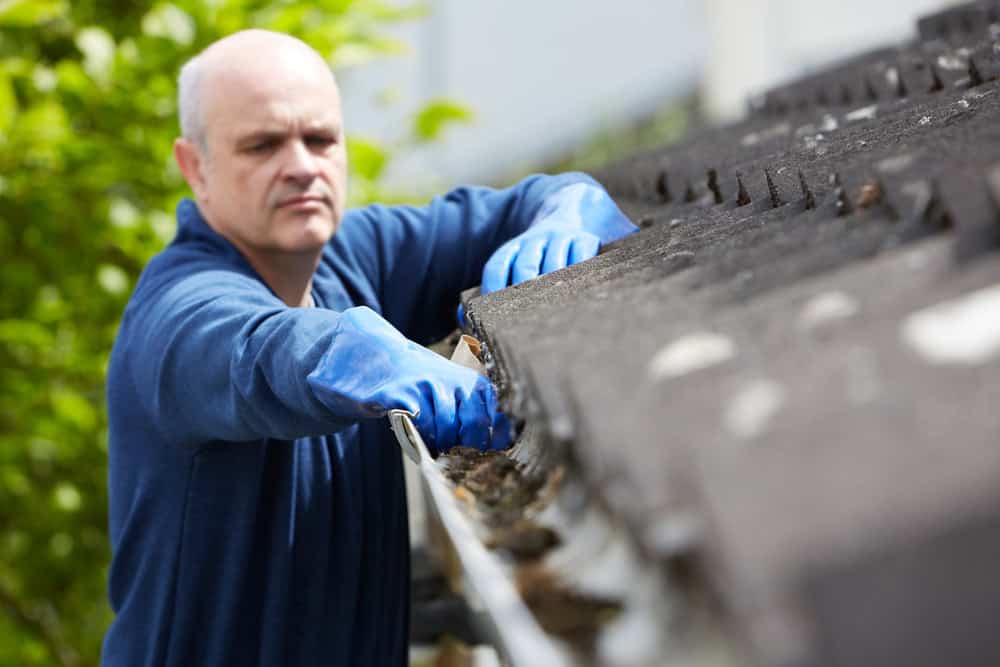 A person wearing blue gloves and a blue long-sleeved shirt is cleaning debris from a gutter on a house roof in Buchanan County. The background reveals green foliage and part of the house exterior, illustrating the meticulous upkeep necessary for homes, whether it's roofing or door installation in Buchanan County.