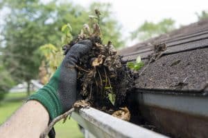 A gloved hand is seen clearing leaves and debris from a rain gutter attached to a house roof. With lush, green surroundings, indicating an outdoor environment likely in spring or summer, this scene in Buchanan County captures everyday home maintenance. Consider pairing it with Roofing Buchanan County services for complete care.
