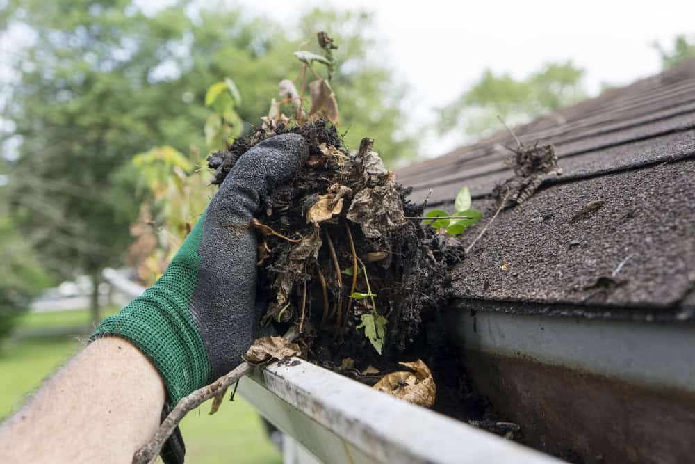 A gloved hand holding a clump of wet leaves and debris being removed from a house gutter, showcasing the need for proper Roofing Buchanan County. The background reveals a portion of the roof and a blurred, green, outdoor scene.