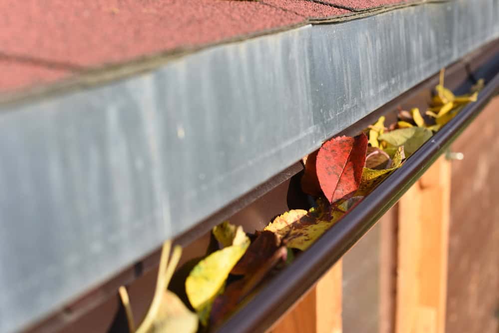 A close-up of a house gutter filled with dry leaves of various colors, including red, yellow, and brown. The gutter is attached to a roof with reddish-brown shingles. The sunlight highlights the texture of the leaves and shingles.